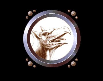 02.png