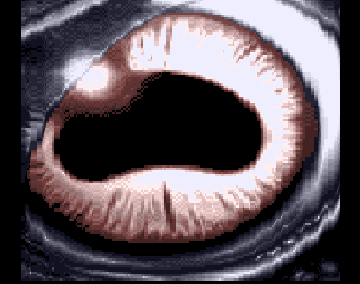12.png
